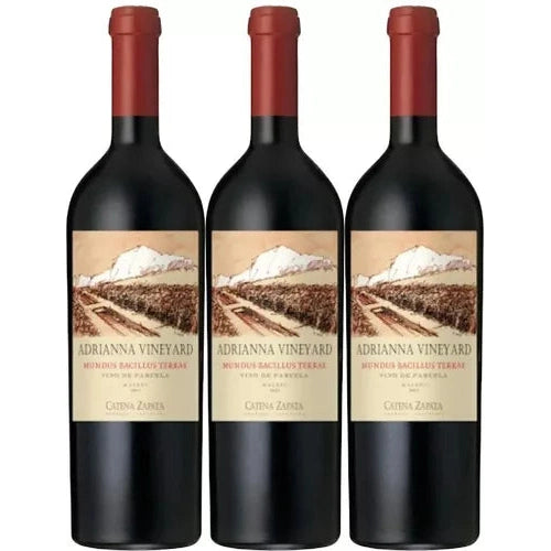 Mundus Bacillus 2020 | 96 Pts