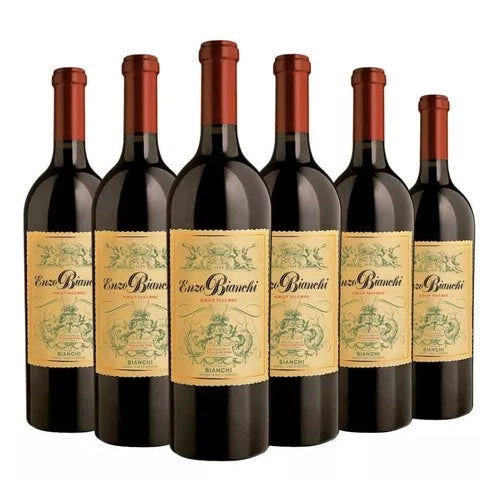 Enzo Bianchi Gran Malbec 2020| 94 pts